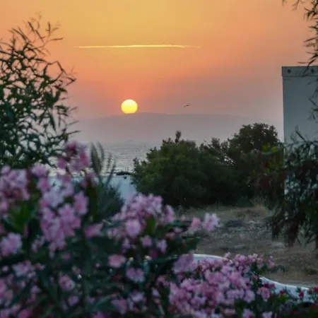 Διαμέρισμα Sea & Wind *